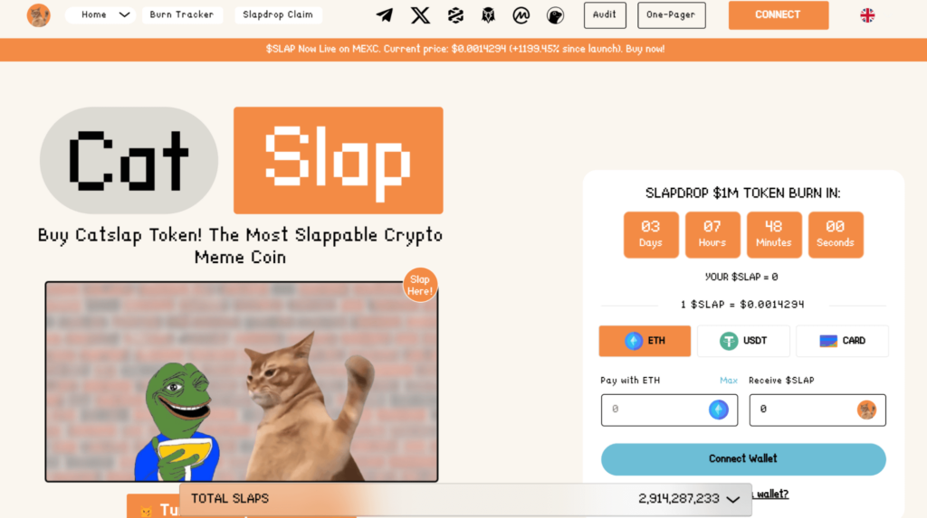 Catslap meme coin project