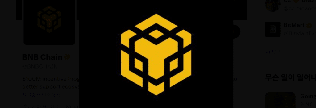 알트코인 추천 프로젝트 BNB