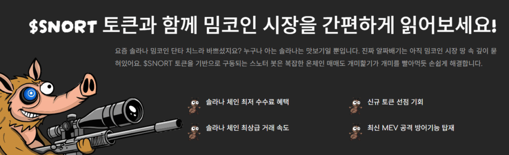 스노터 토큰