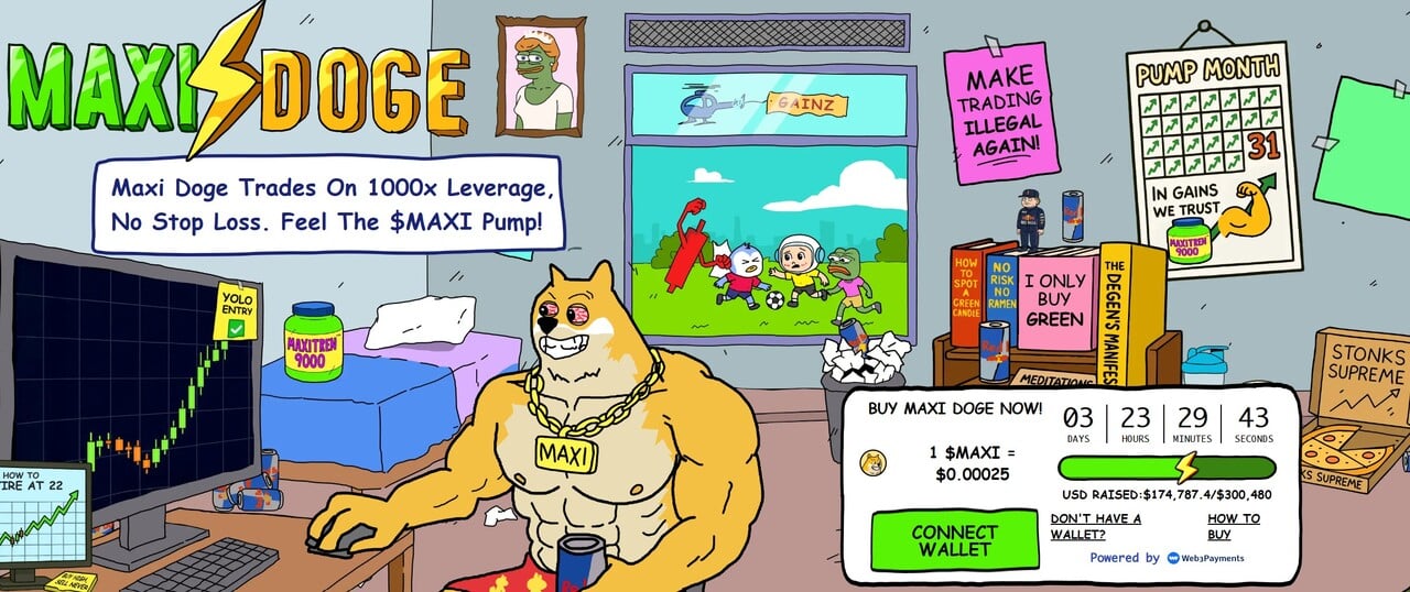 maxi doge presale site