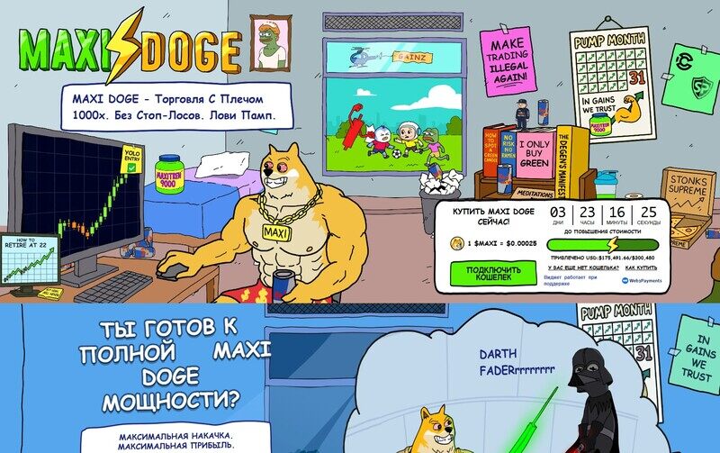 криптовалютный проект maxi doge